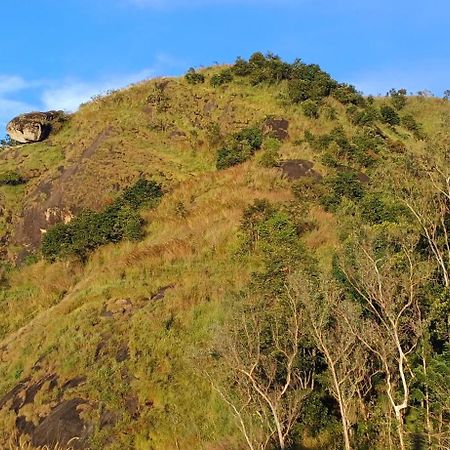 Munnar Green Home Anaviratty Extérieur photo