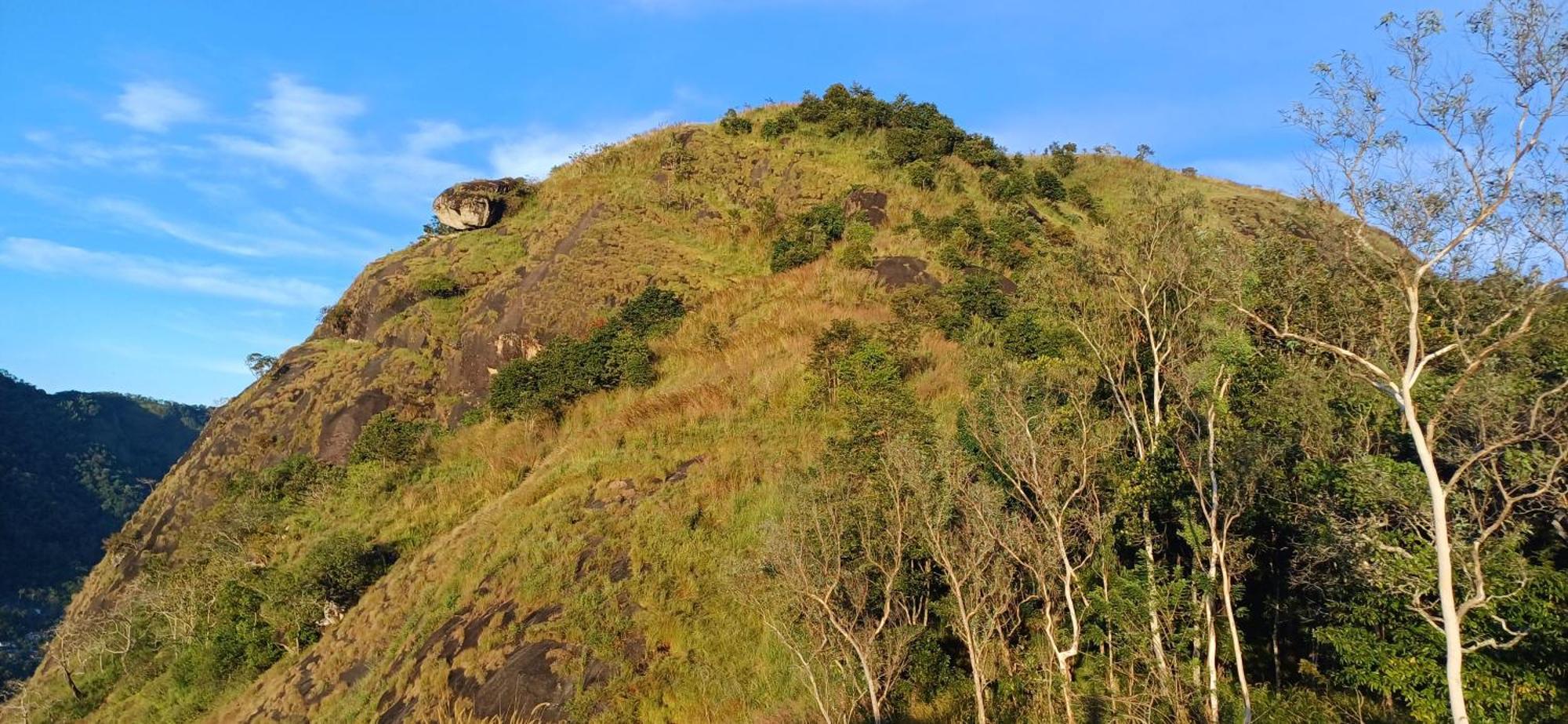 Munnar Green Home Anaviratty Extérieur photo